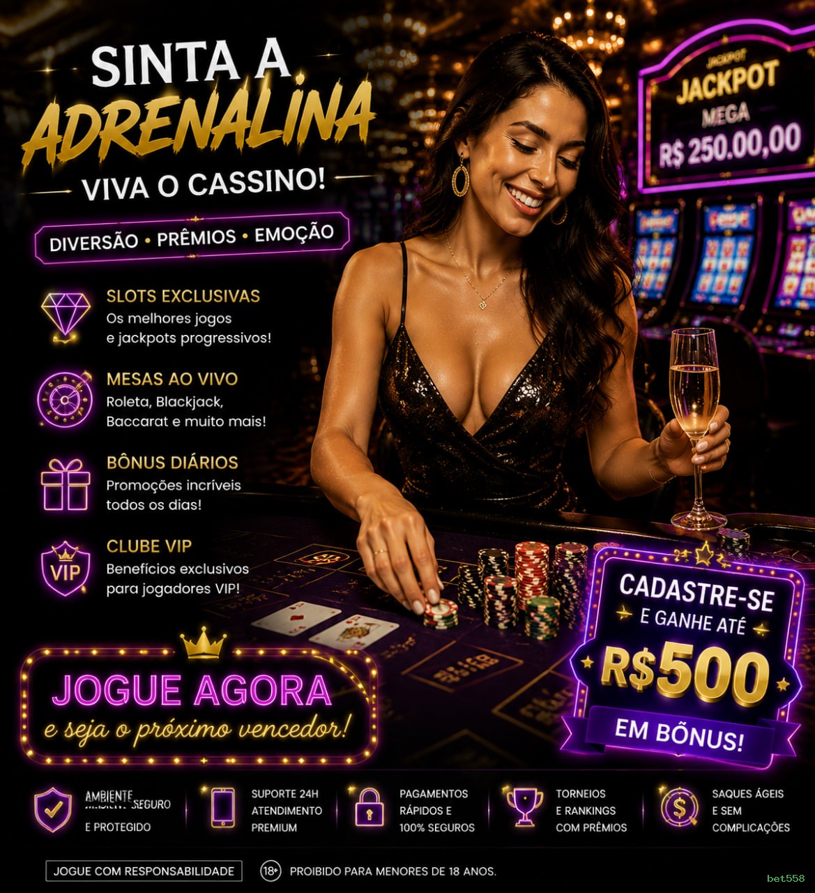 Certificações de segurança e licenças da bet558